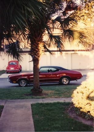 It was years before I could look at these pictures again after loosing these cars to the towing company, all over the state of FL. Lousy insurance law. No insurance,,no tags. No tags,, they come and take your car away.It was illegal to keep unregistered cars on your property.