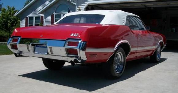 Rear Cutlass