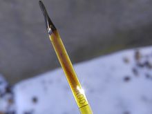 My oil, right before I preformed my fist oil change on my new engine, today.
