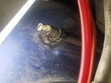 Theres the purge line on the pass fender 