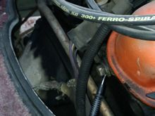 Rear of passenger side head
