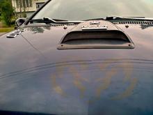 New Decals, LED's &amp; Hood Scope With Dual Neon Bar Light