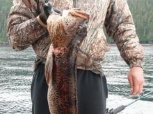 lingcod fishing