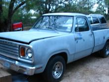 78 D150 318 bone stock