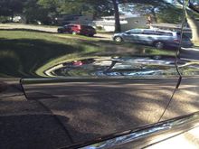 Sportwing Side Moldings