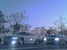 IMAG0294