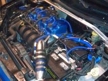dragonbonz midnight blue proj.