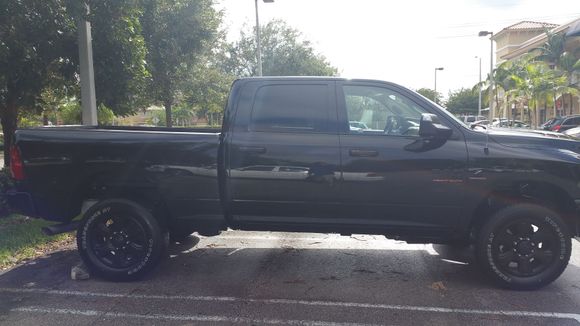 Black Stallion