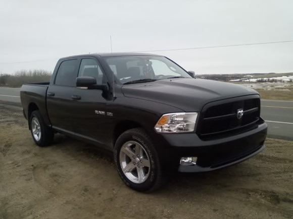 Stock