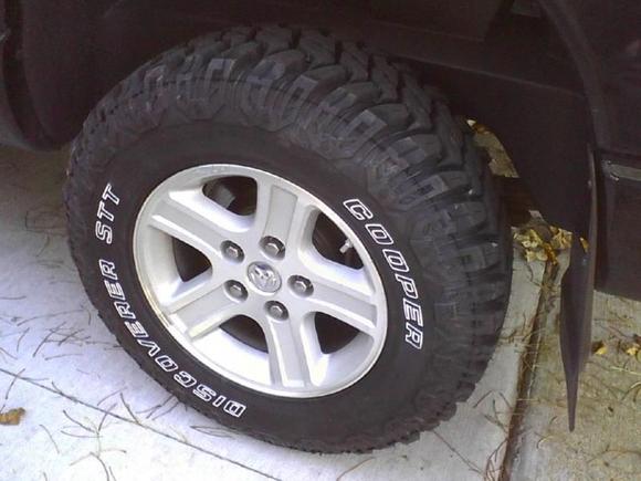 Photo10131355 1