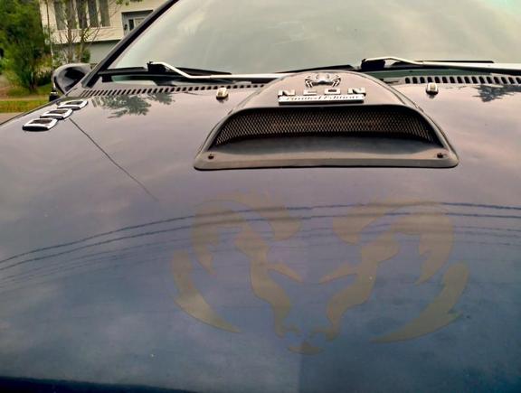 New Decals, LED's &amp; Hood Scope With Dual Neon Bar Light