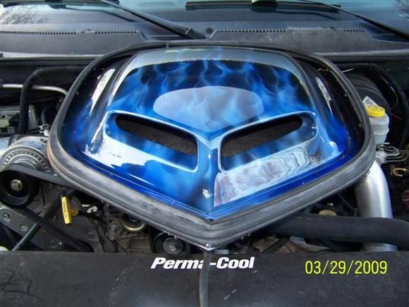 The new paint!!!!