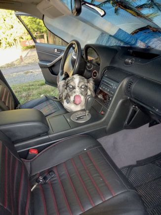 Rio wanted his turn behind the wheel. August 2016