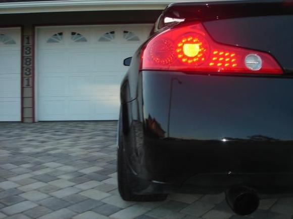Black Mamba's left cheek..