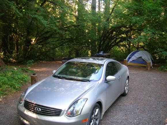 Camping in the Tillamook National Forest outside of Portland, Oregon