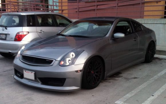 myg35 (31)