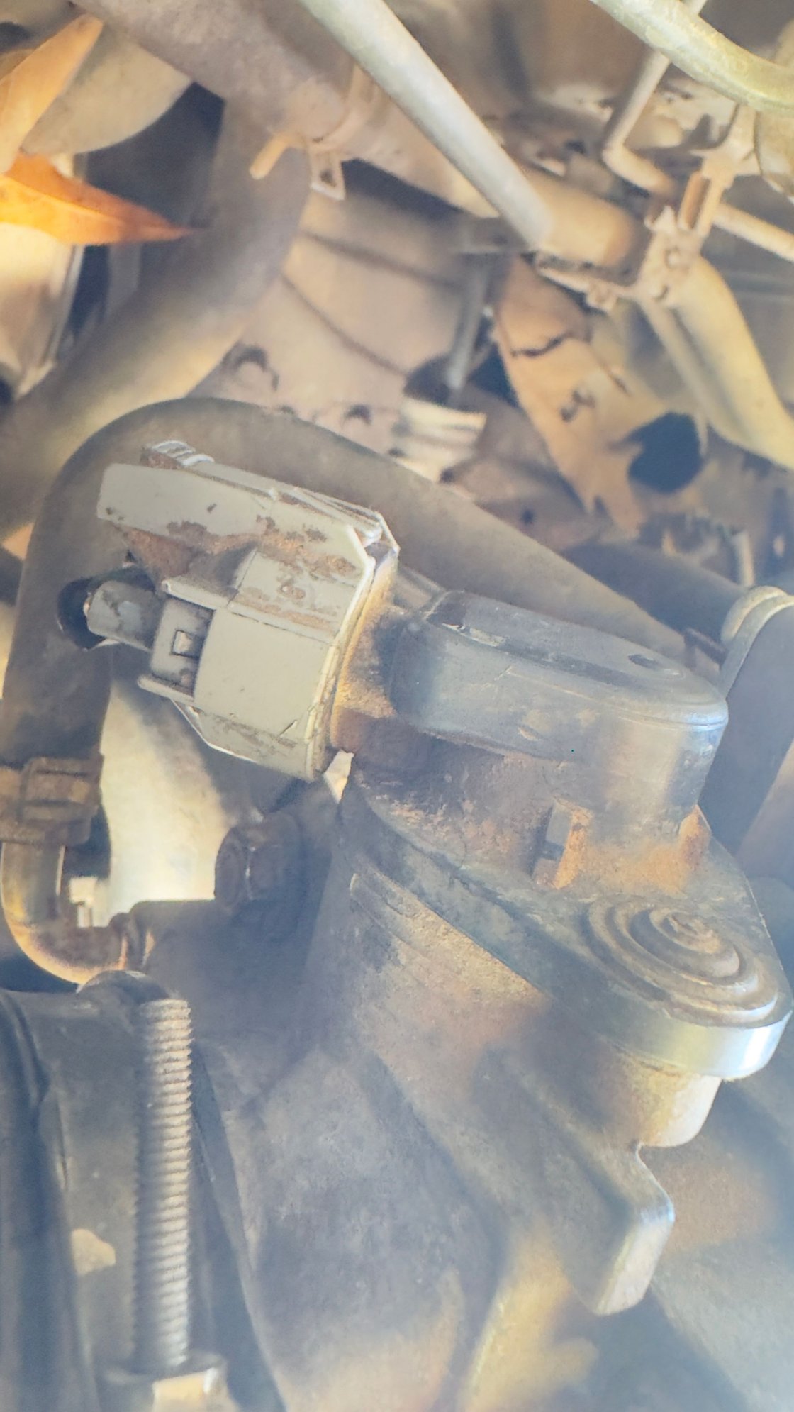 this is a picture of my iacv (it�s kind of a bad angle since my tb is still on)
