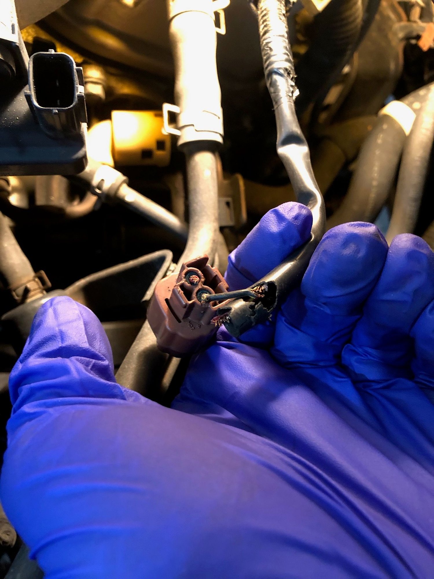 Need advice for repairing or replacing electrical connector - Honda