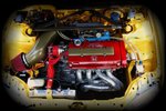 yelo-vic