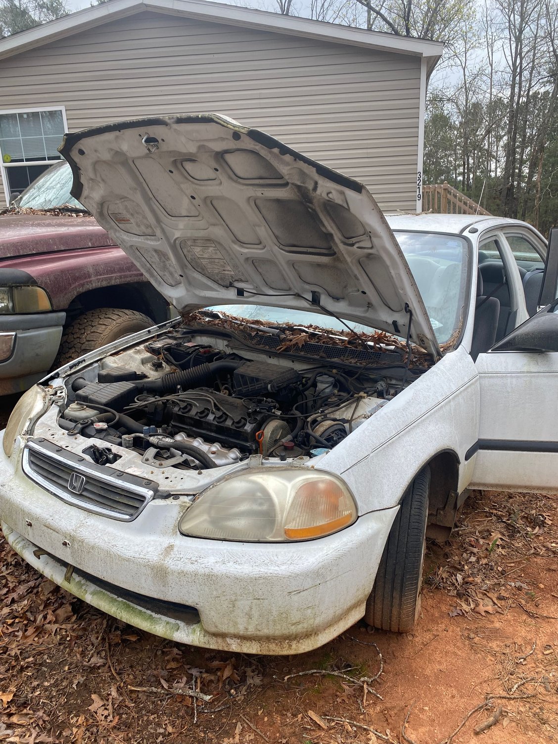 My first Honda tbh 