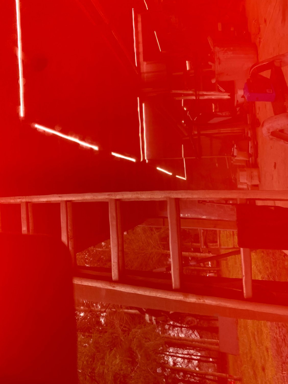 Crazy how good this looks for 25 year old paint.