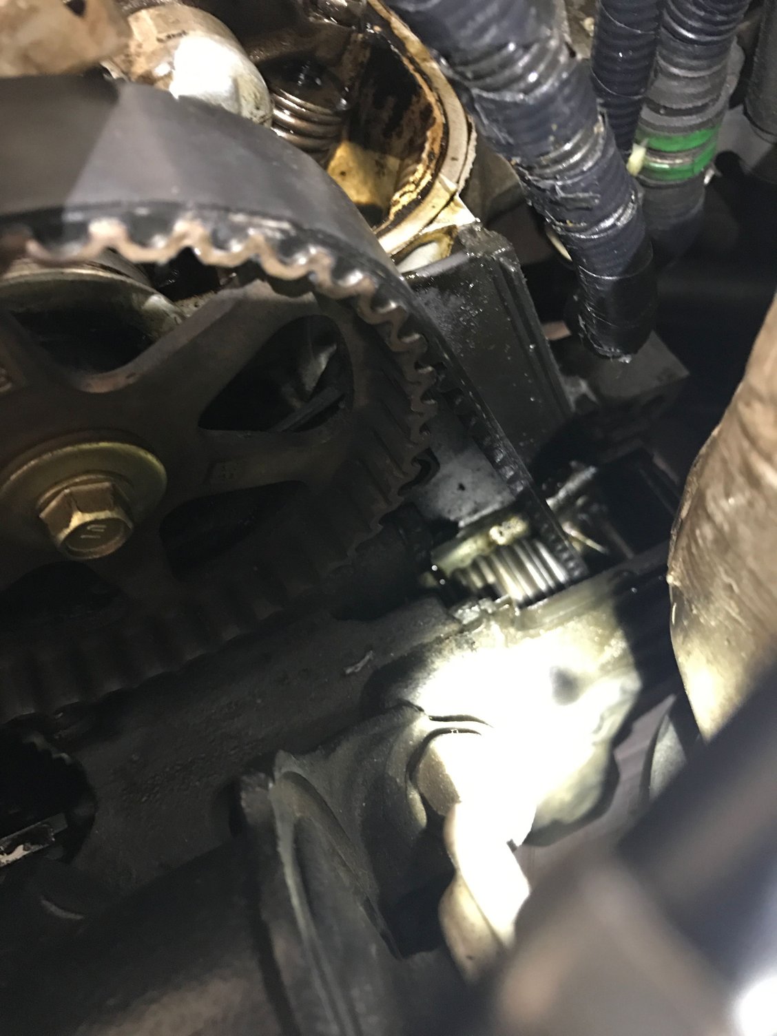 Timing Belt Inspection HondaTech Honda Forum Discussion