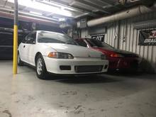 Sitting pretty.