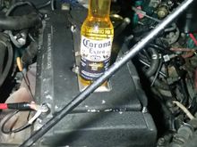 What goes better with corona than a Corona?