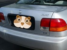 Excuse the Pterodactyl poop...