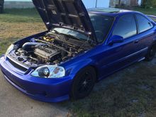 Poor ol’ girl