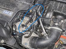 Wire with rodent damage circled in blue