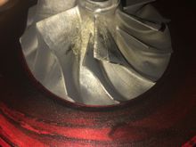 Wired discoloration