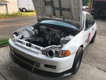 Shell ready for the swap