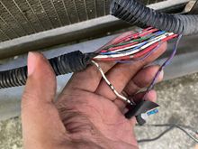 hi guyss I need help on wiring diagram. I got this car with no horn. I dont know which one is the wire. please help thanks!