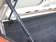 new trunk struts