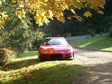 THE FD on a autum day