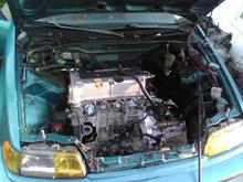 my pics 488