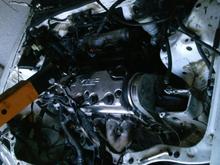 D15b