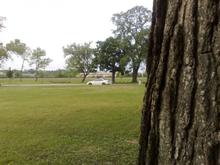 at a forest preserve-park