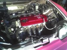 Pink Valvecover