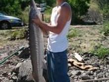 58 inch Sturgeon of 08 SUmmer