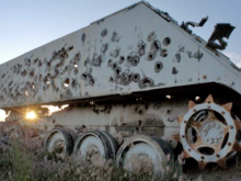 Well this...................A10....ugly but well hung!!