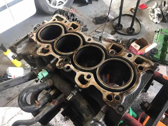 Motor torn down no issues