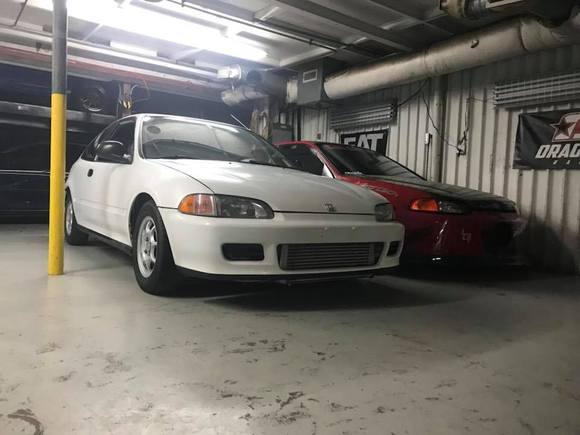 Sitting pretty.