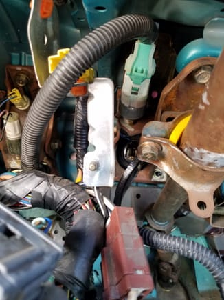 What plug is the connected to Brake switch?
