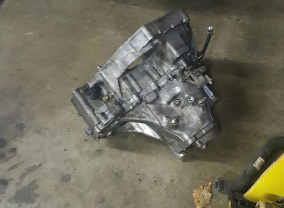 All fresh and ready to go in