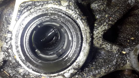 Broke seal, leaking my $$$ Honda MTF :(