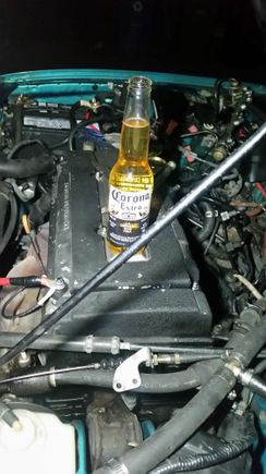 What goes better with corona than a Corona?
