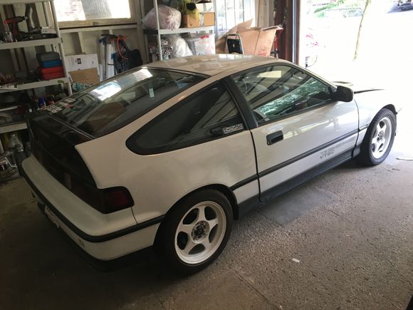 I can’t live like this for long :cry: