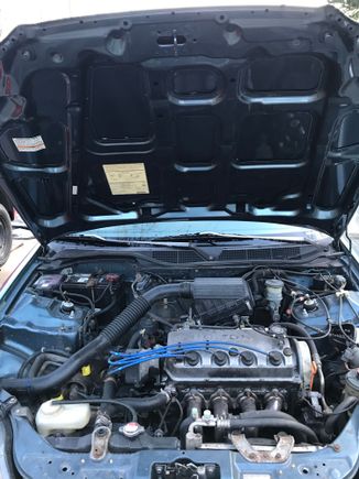 Definately need to clean up my engine bay now that the bottom of the hood is super shiny 😂 it’s making me look bad!

Why did I paint that?!?! 😂